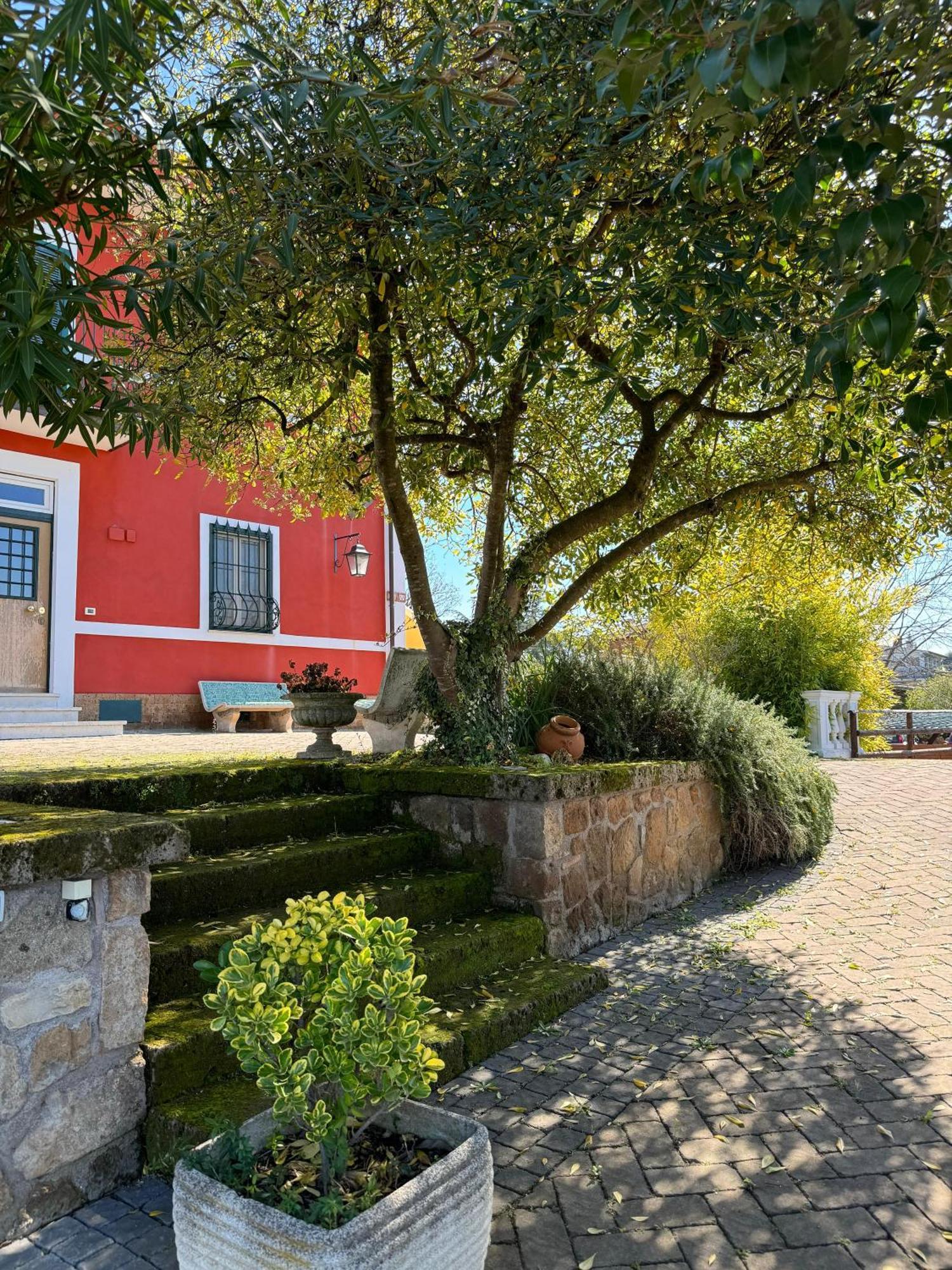 La Terrazza Su Roma Bed & Breakfast Zagarolo Exterior photo